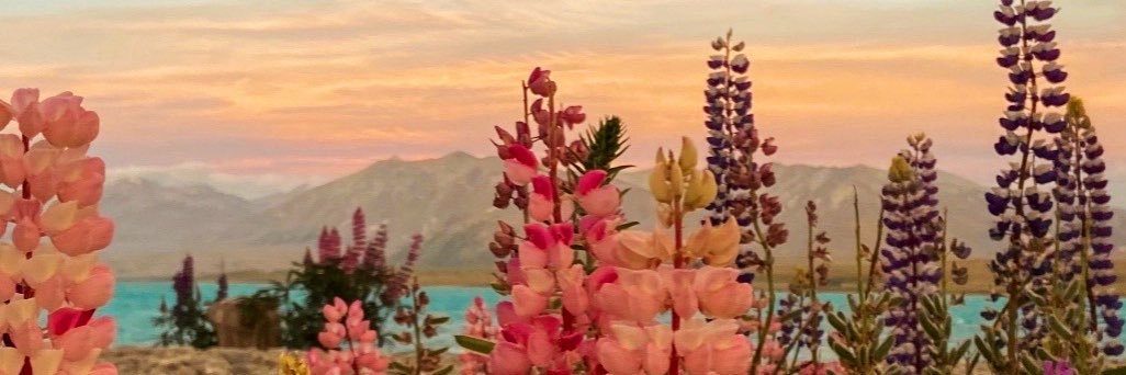 emma_crewe's profile banner image