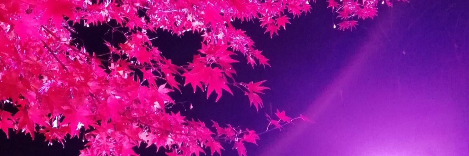 雪花 banner