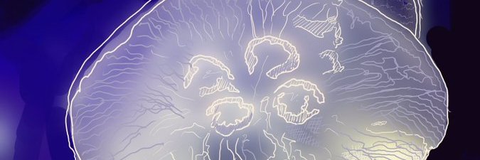 Matthew Saunders banner