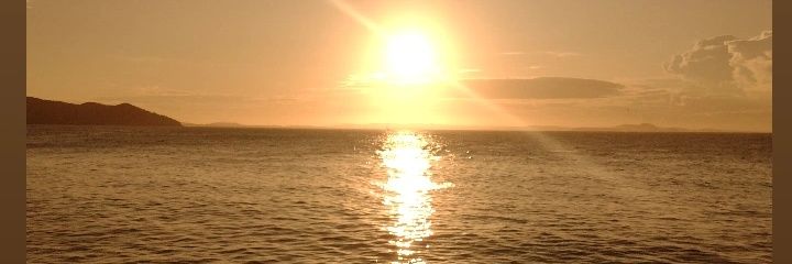 pricilatoroa's profile banner image