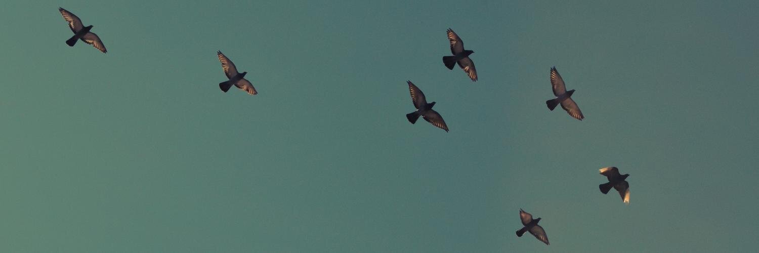 ɥsıɟǝɥʇpuıɯ banner