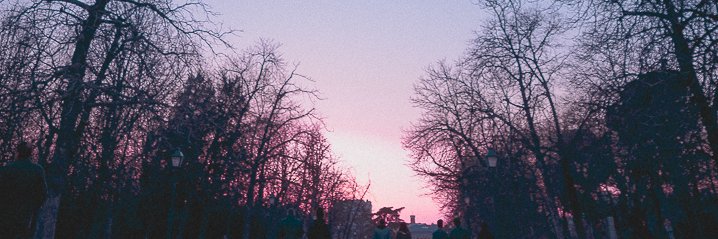 damnitsandrew's profile banner image