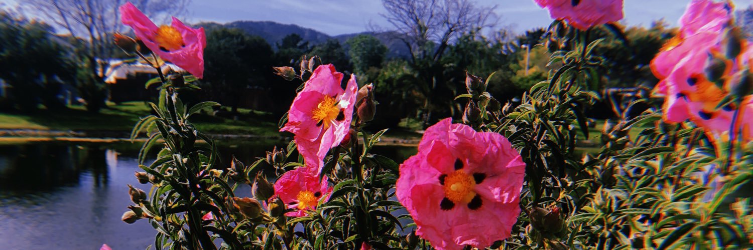 thea_ches's profile banner image