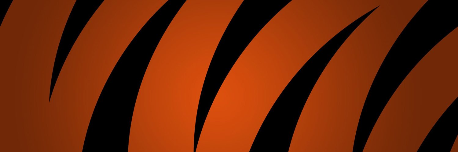 WhoDeyHarry's profile banner image