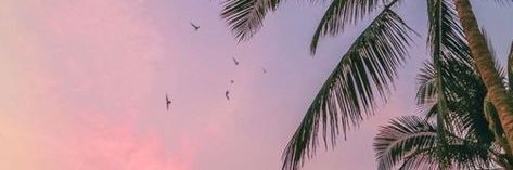 Draydesi's profile banner image