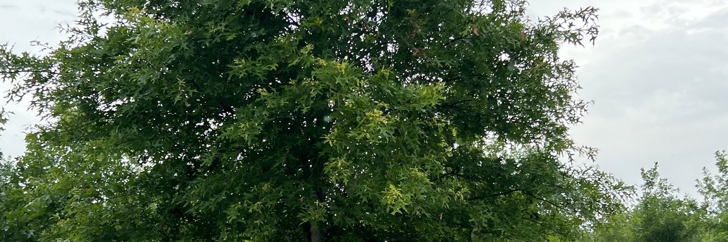 AmerAnglican's profile banner image