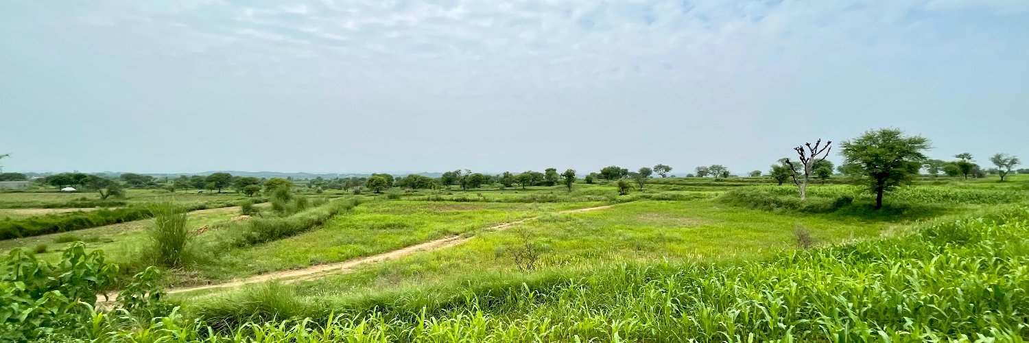 PunjabiProverbs's profile banner image