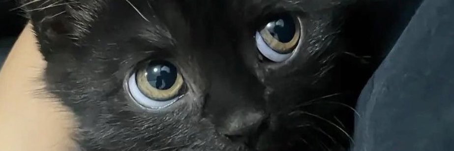 นับนับ🌱 banner