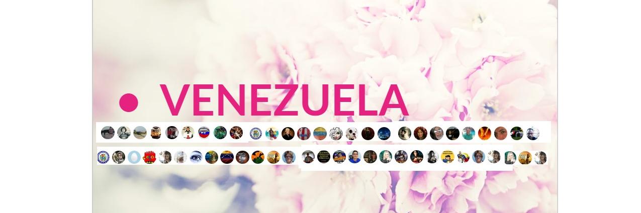 🇻🇪LIBERTARIA banner