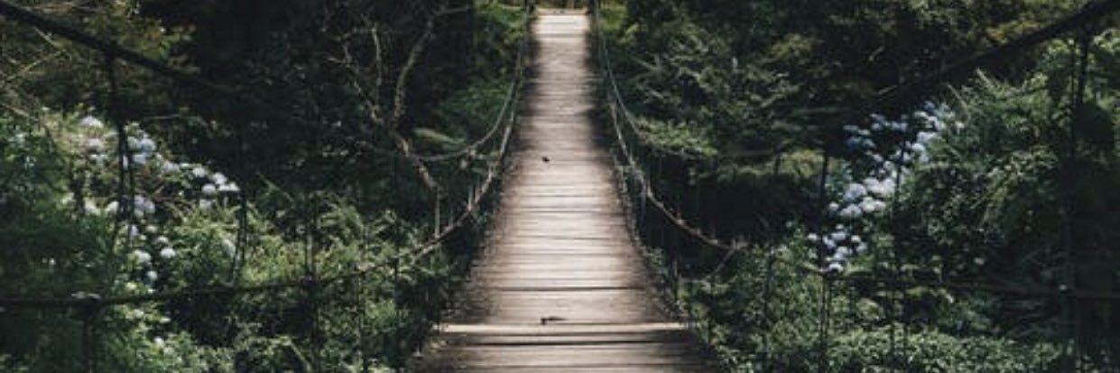 MHSternFund's profile banner image
