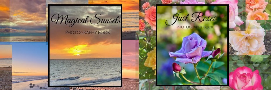 Amanda 🌷's banner