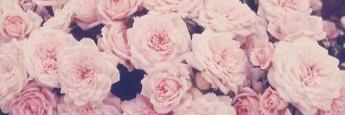 keey_da's profile banner image
