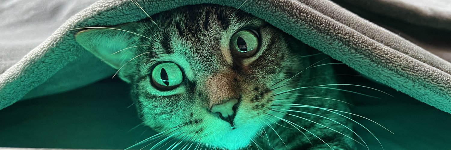 OGeeChrispy's profile banner image