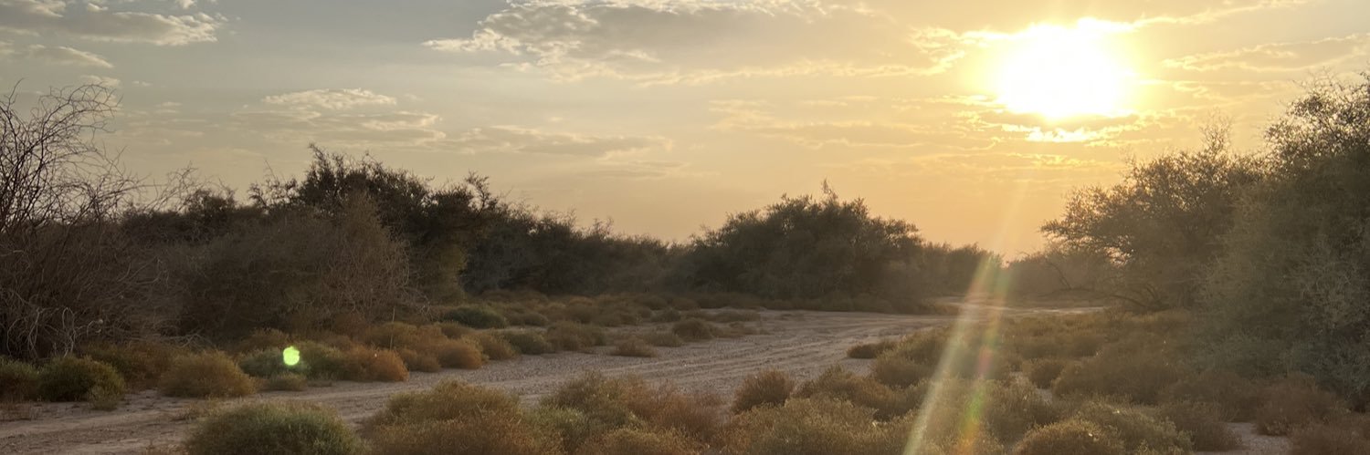 Rx_959's profile banner image