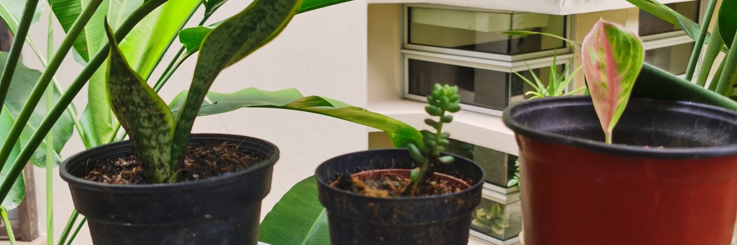 Juliancth's profile banner image