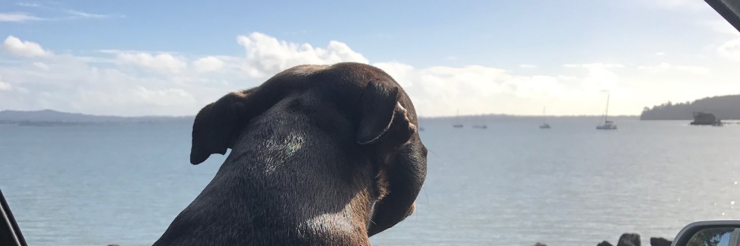 MarkySheeno's profile banner image