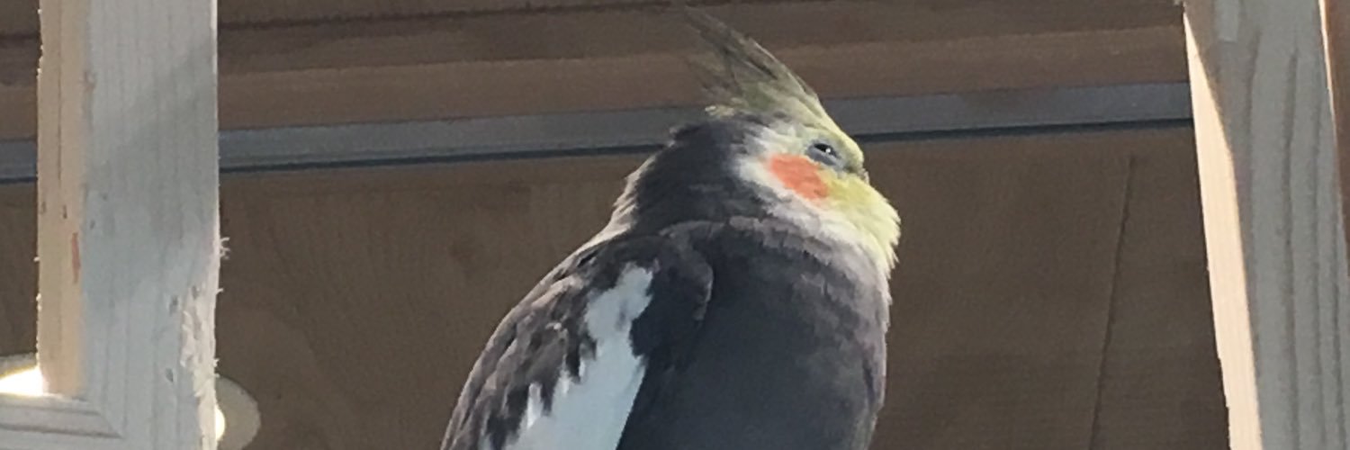 weekenders123's profile banner image