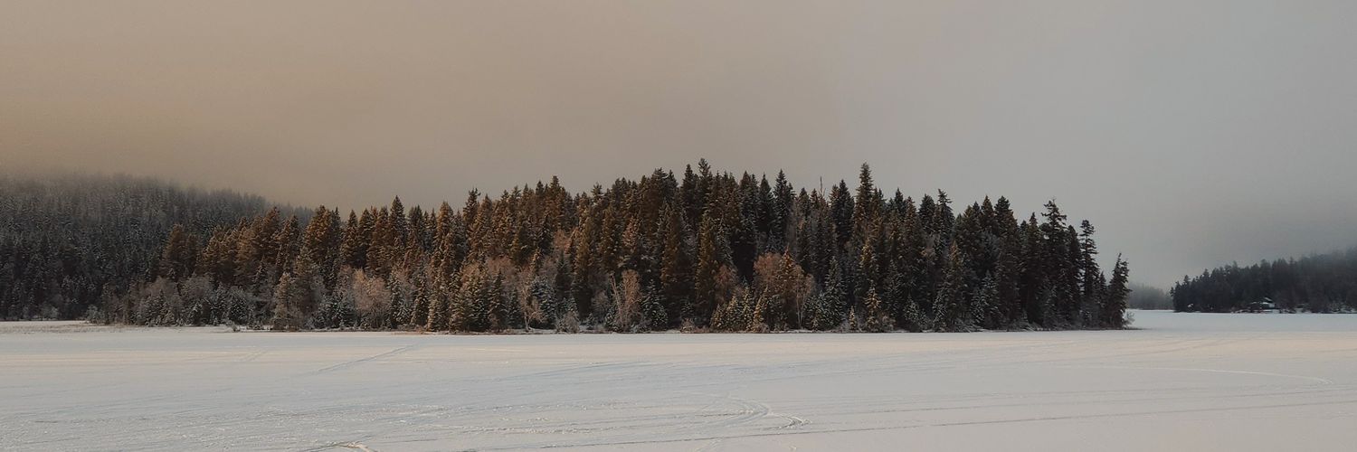 kalinthewild's profile banner image