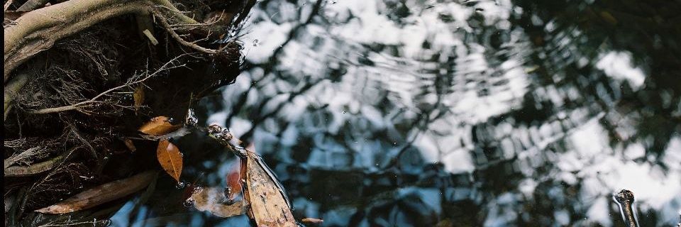 iam13ow's profile banner image