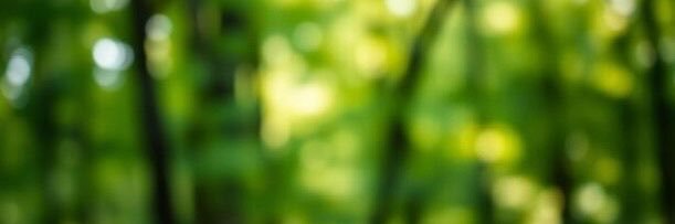 GhostlyGibb's profile banner image