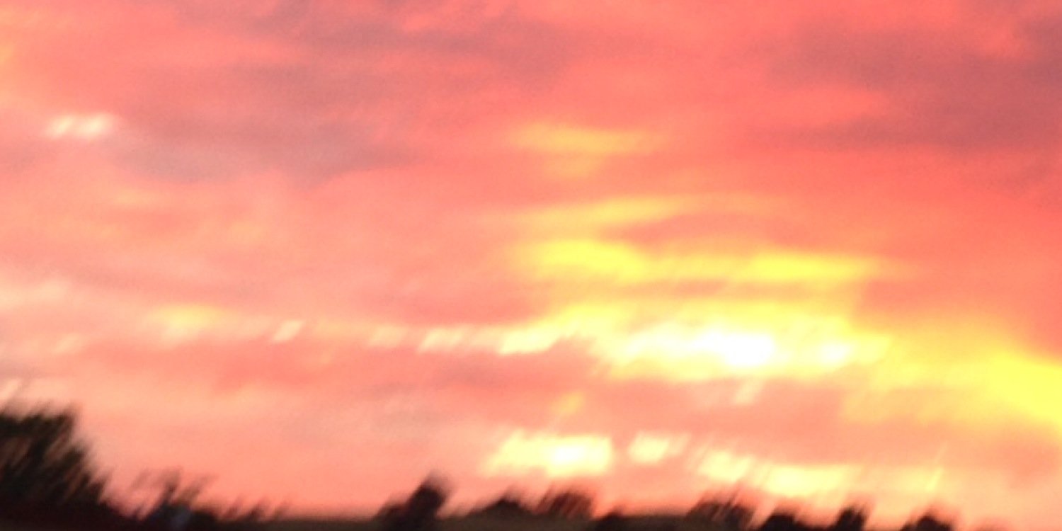 bipolaragnostic's profile banner image