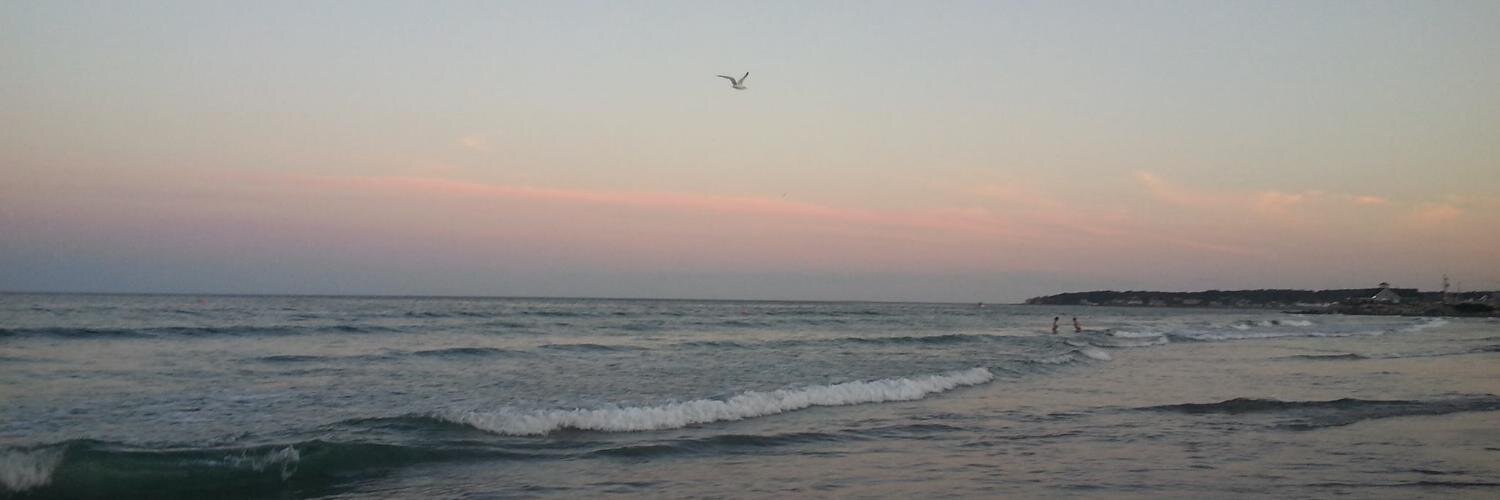 ElizabethMroz's profile banner image