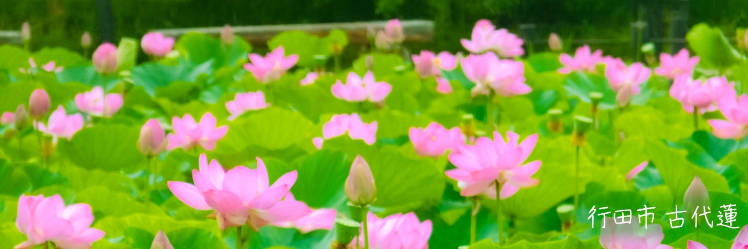 埼玉県庁's banner