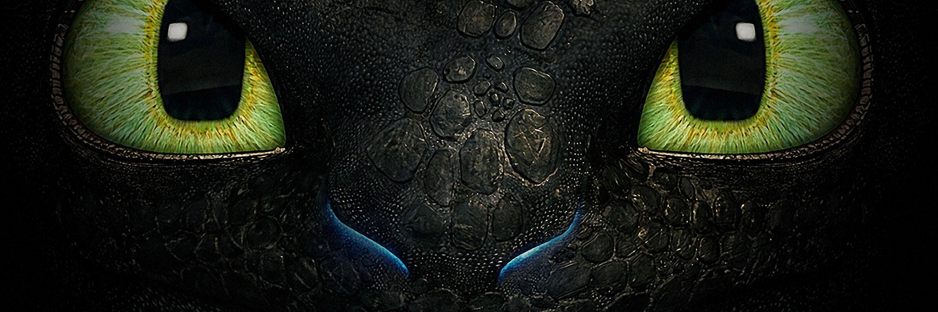 anicygale's profile banner image