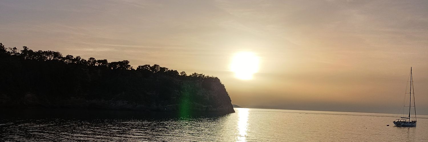 paneetul's profile banner image