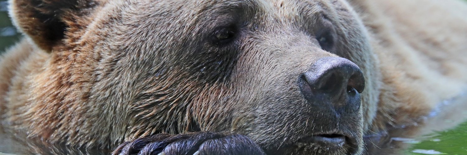 Paul Whitfield banner