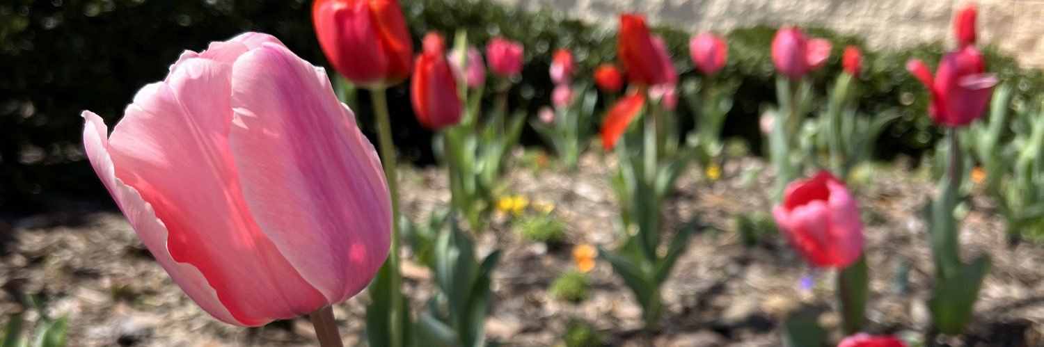 JNicRoebuck's profile banner image