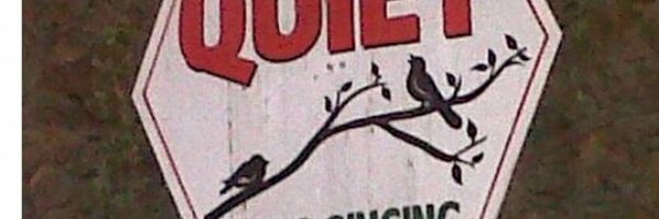 megrak1 Profile Banner