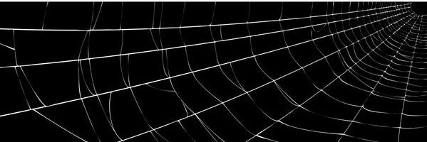 jctaylor78's profile banner image