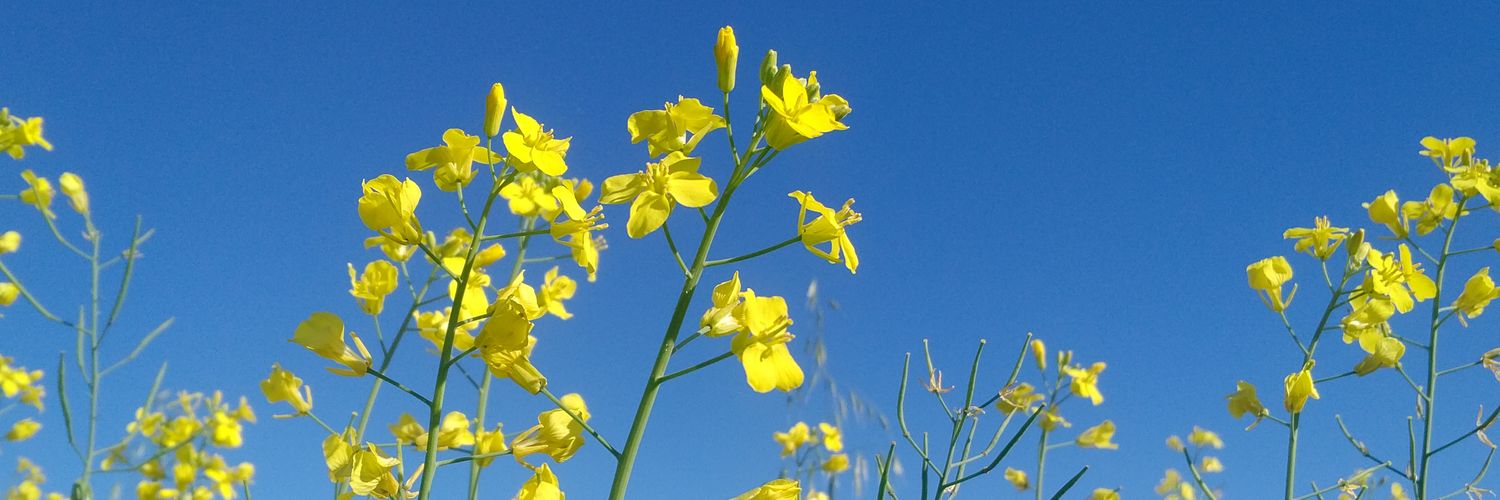 MyFarmDesk's profile banner image