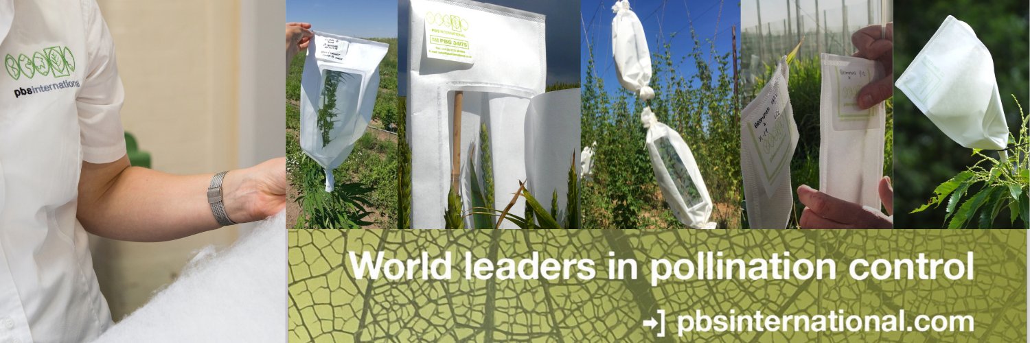 PBSInt's profile banner image