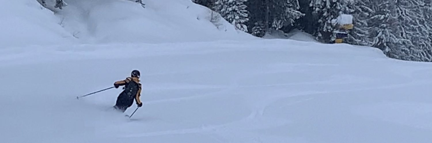 SaraLlanover's profile banner image