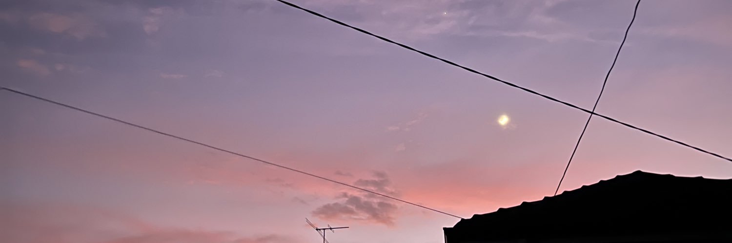 idkleish's profile banner image