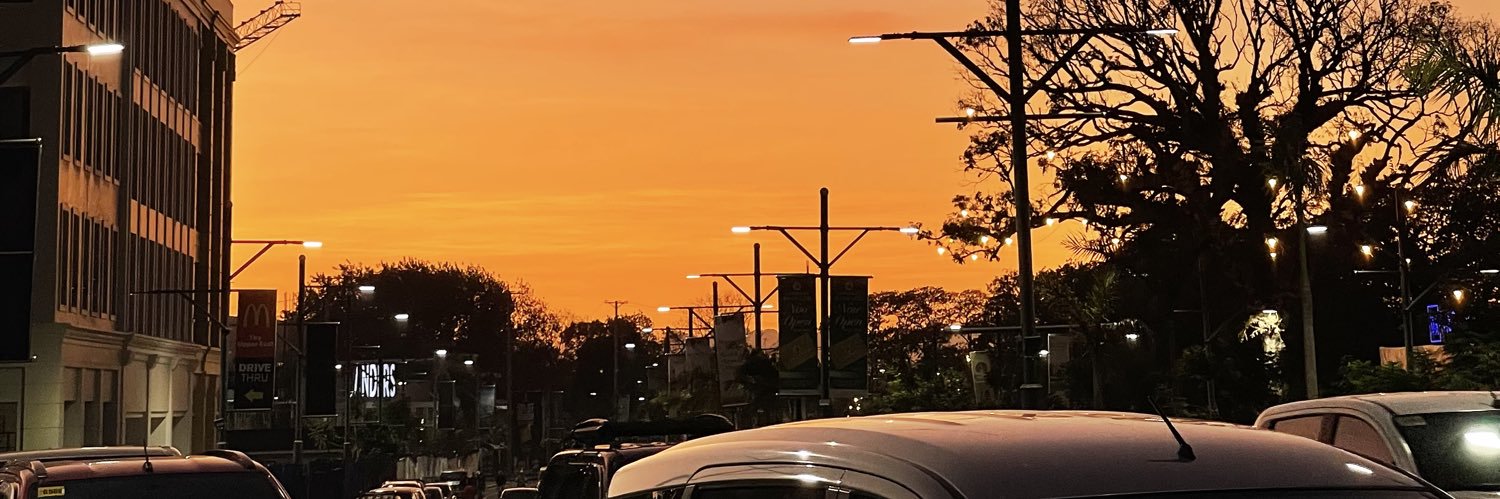 dudutferrer's profile banner image