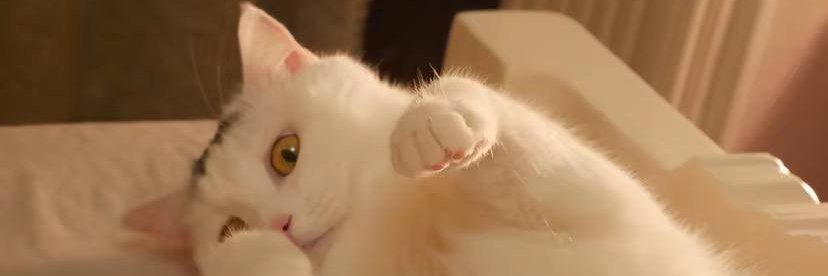 KellyHdzzz's profile banner image