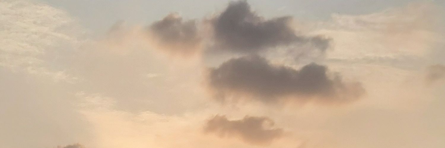 just nuna🥬 banner