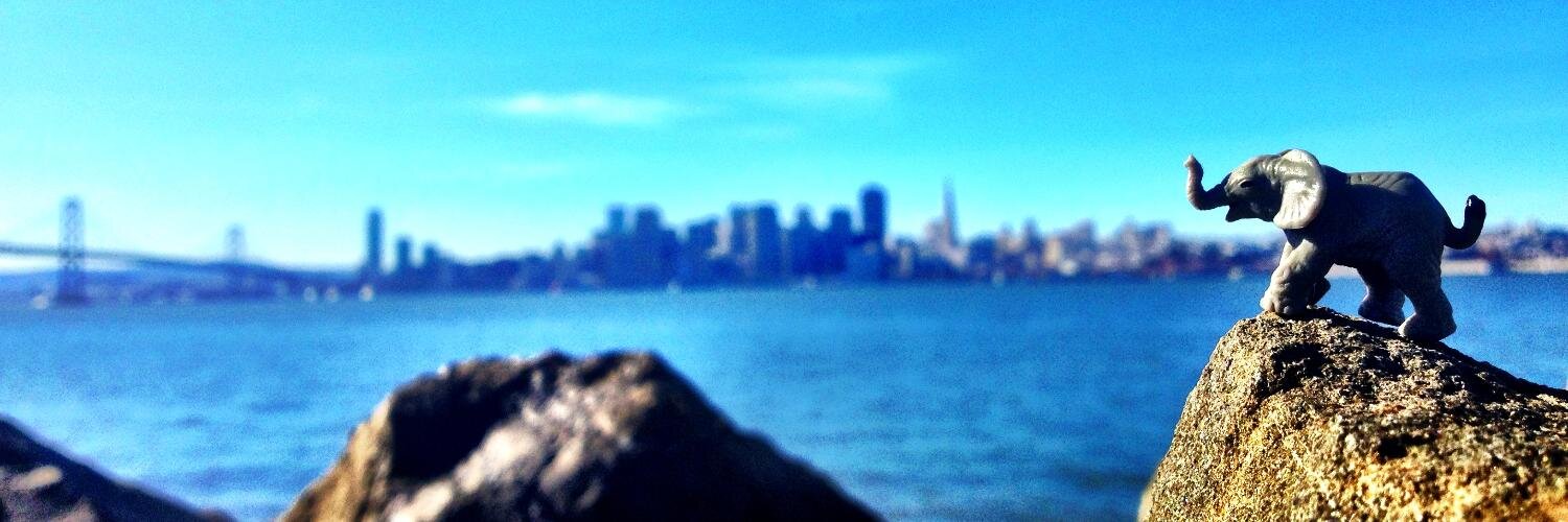 _rtuck's profile banner image