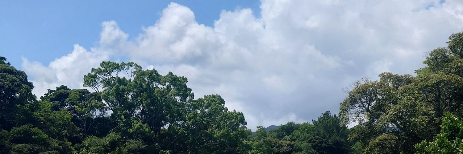 69kei69's profile banner image