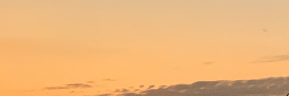 laanqing's profile banner image
