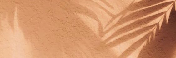 NadinShehani's profile banner image
