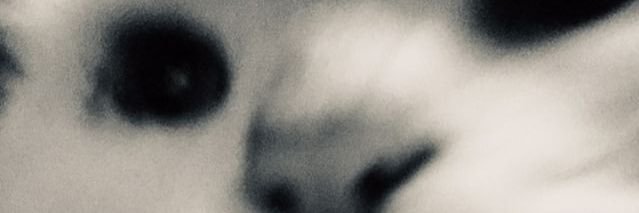 IndragobeL's profile banner image