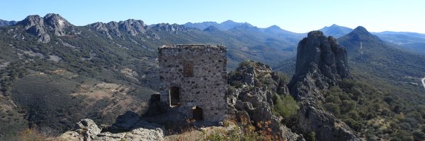 GuisadoPepe Profile Banner