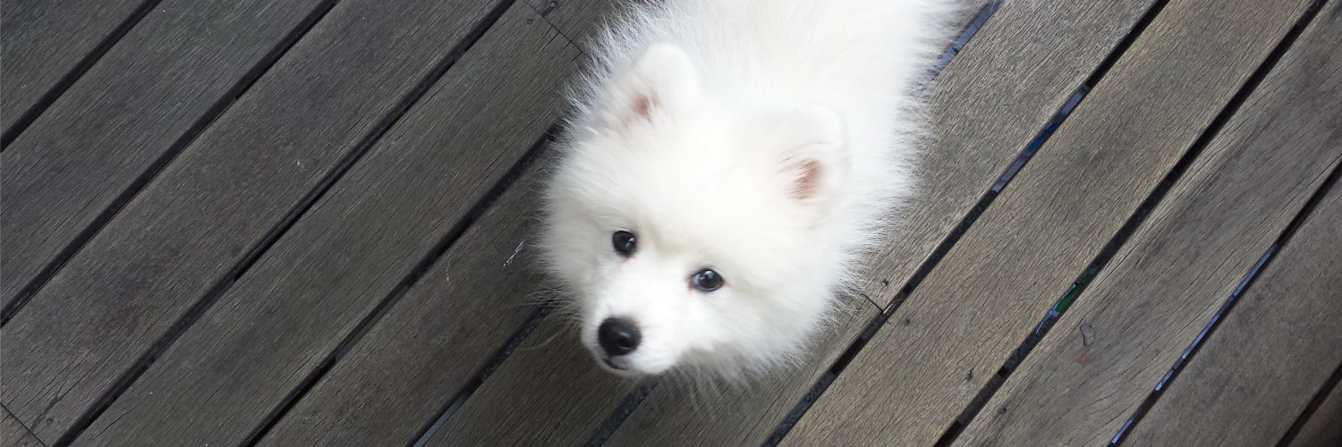 Phunkson's profile banner image