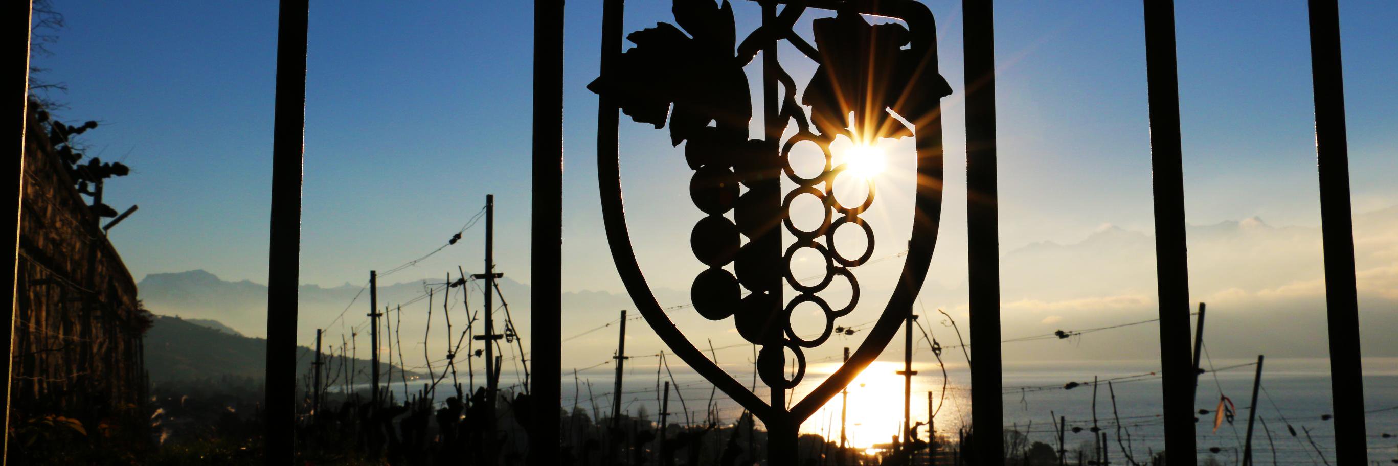 VilledePully's profile banner image