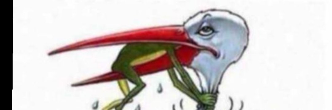 aifce's profile banner image