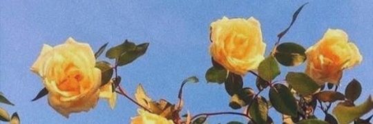 Vhielandry's profile banner image